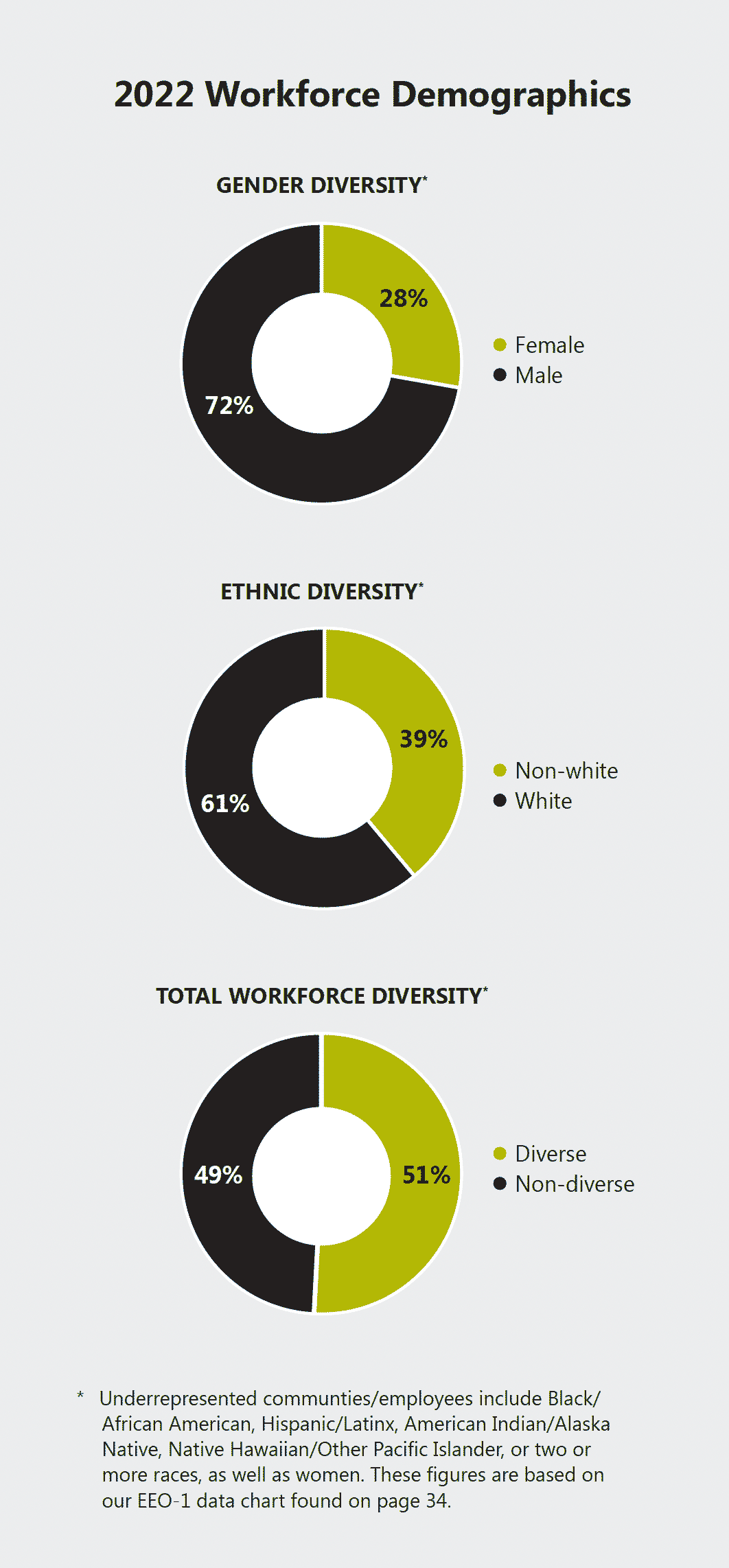 gráfico que muestra la demografía de la fuerza laboral